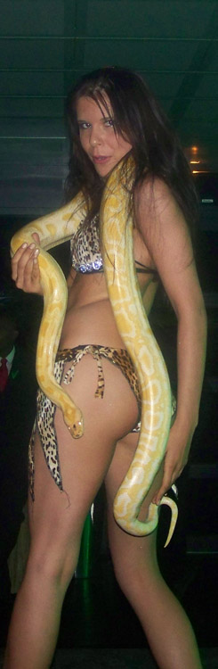 samba shows