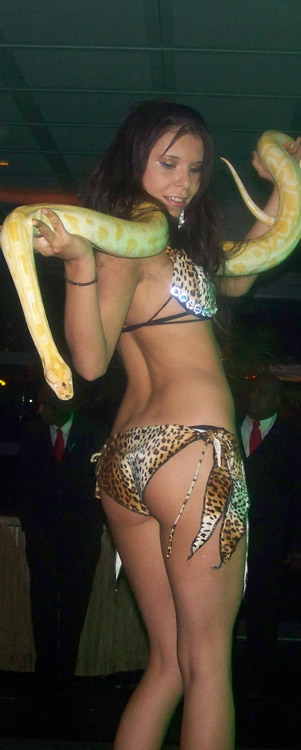 thema feest tropical